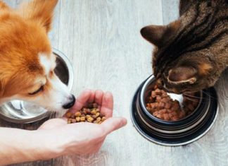 Packaged Facts is the leading source of market research on the consumer goods and services industries.