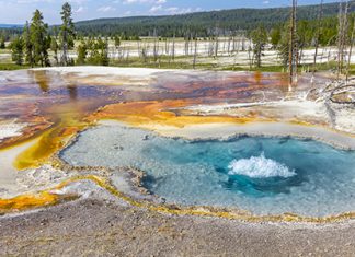 Since 1998 the Wyoming Business Council has helped to overcome the most persistent and difficult challenge: developing a diverse economy.