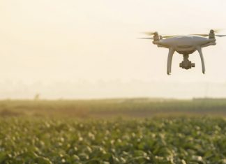 Blockchain offers organizations in a food supply chain a higher level of track and trace transparency to monitor the condition of crops.