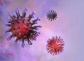 coronavirus