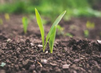 modern agriculture technology