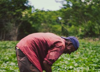 workers compensation