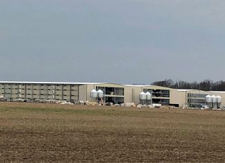 egg processing plant