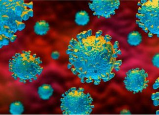 Image of COVID in the human body