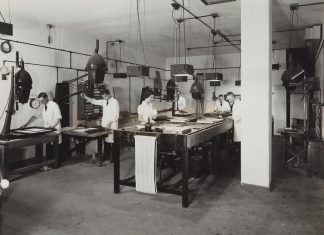 zamplebox subscription service