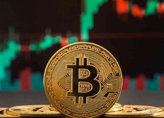 uses of bitcoing 2020