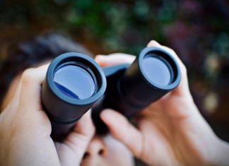 Companies leaders need to look forward not back.