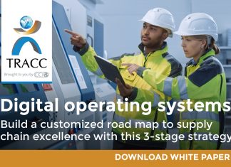 achieve digital excellence with customized solutions whitepaper trac ccint