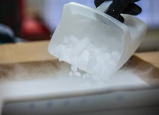 international cold chain shipping