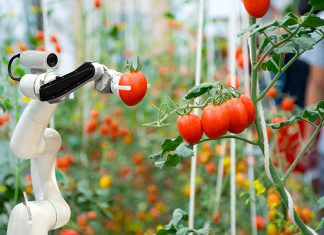 A resilient supply chain for sustainable food production.