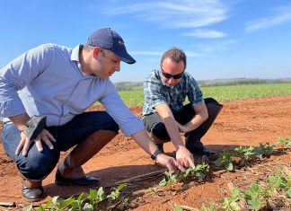 Food manufacturers pay the same price per truck load of product, but, if it doesn’t meet quality criteria, it may have to be discarded.