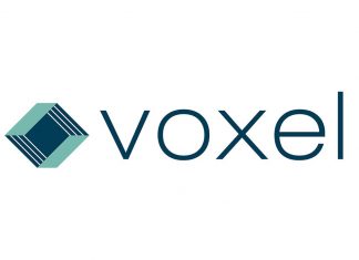 voxel logo