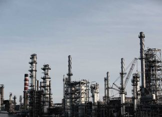 engineering plant pexels life of pix