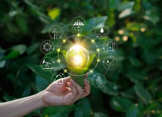 decarbonized economy