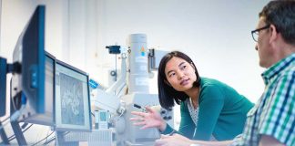 Encouraging employees to be innovative and create allows for optimized results.