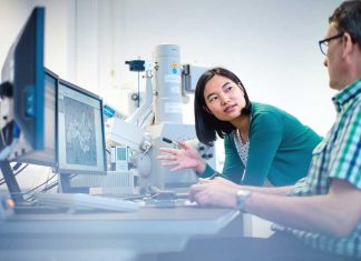 Encouraging employees to be innovative and create allows for optimized results.