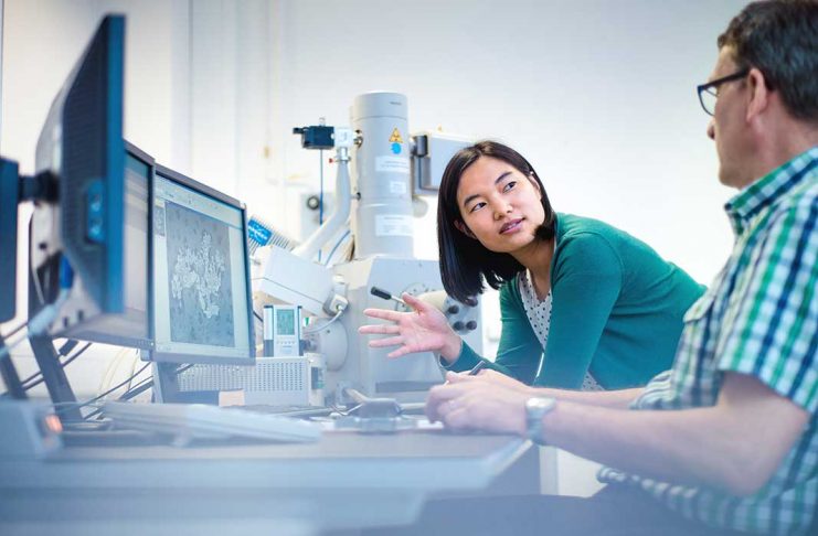 Encouraging employees to be innovative and create allows for optimized results.