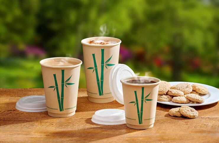 celebration packaging bamboo cups